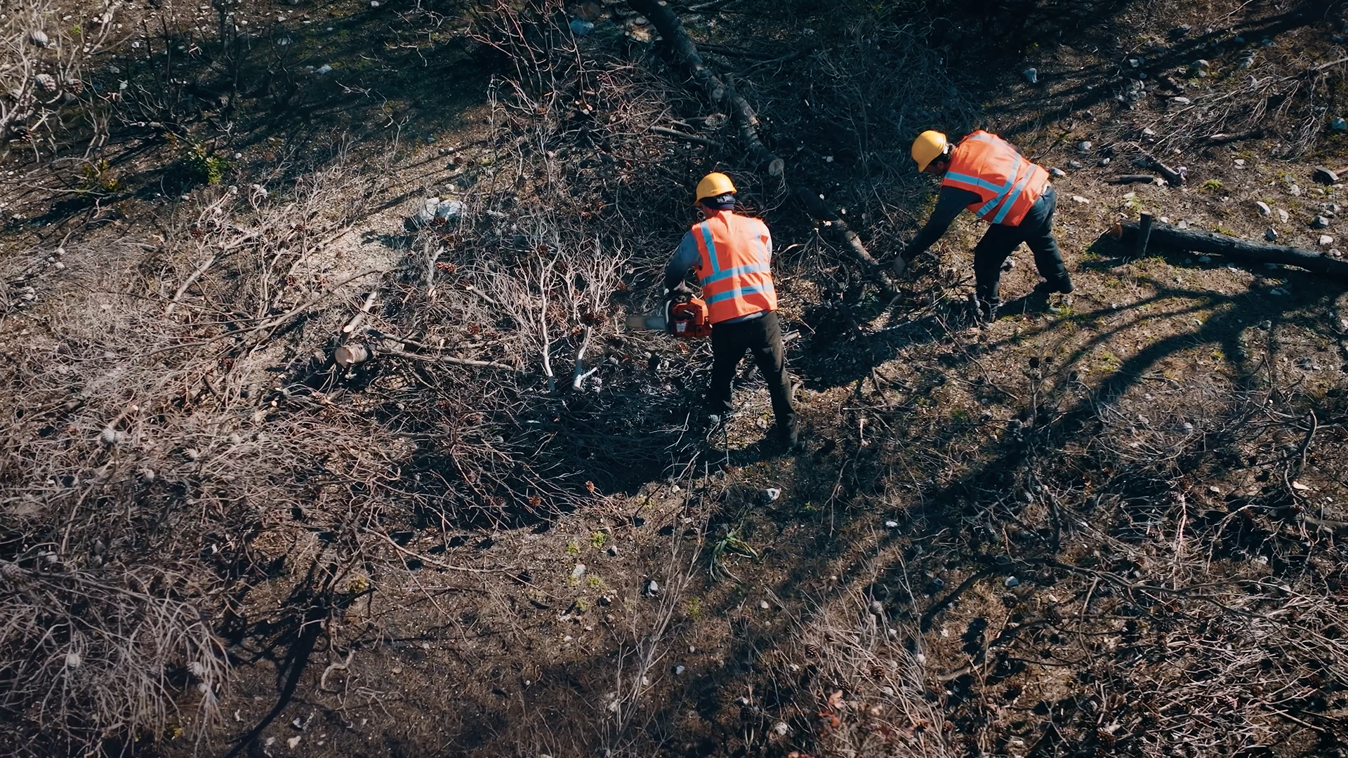 MAMROLINE ΑΝΑΔΟΧΟΣ ΑΠΟΚΑΤΑΣΤΑΣΗΣ ΔΑΣΟΥΣ ΒΑΡΥΜΠΟΜΠΗΣ - ΑΝΤΙΠΛΥΜΜΗΡΙΚΑ ΕΡΓΑ
