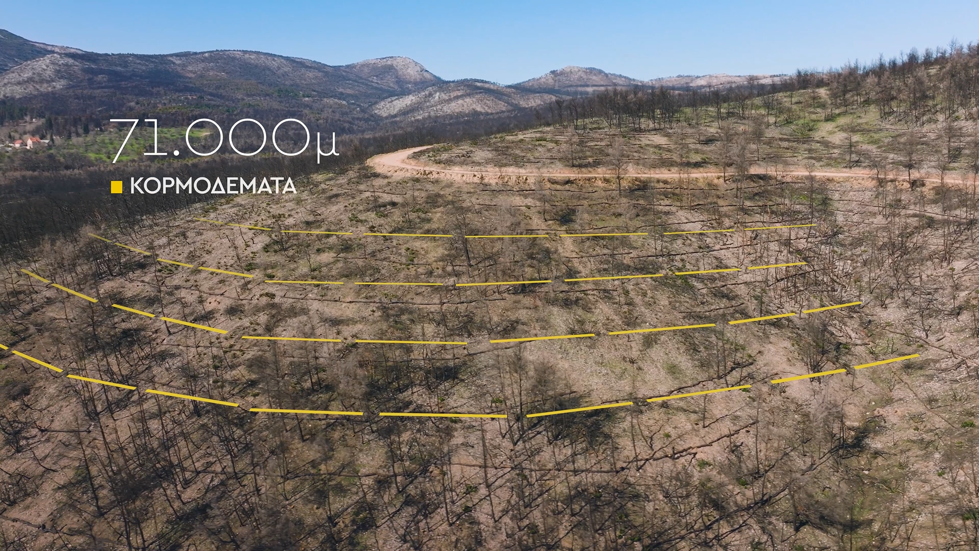 MAMROLINE ΑΝΑΔΟΧΟΣ ΑΠΟΚΑΤΑΣΤΑΣΗΣ ΔΑΣΟΥΣ ΒΑΡΥΜΠΟΜΠΗΣ - ΑΝΤΙΠΛΥΜΜΗΡΙΚΑ ΕΡΓΑ 400000 ΣΤΡΕΜΜΑΤΑ