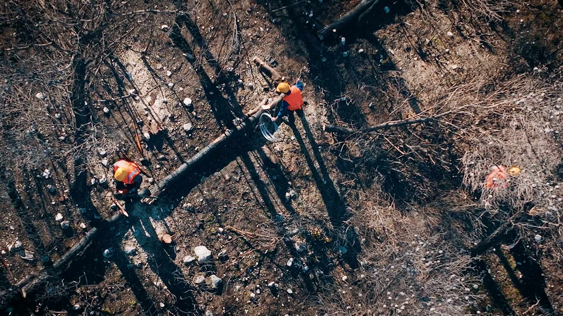 MAMROLINE ΑΝΑΔΟΧΟΣ ΑΠΟΚΑΤΑΣΤΑΣΗΣ ΔΑΣΟΥΣ - ΑΝΤΙΠΛΥΜΜΗΡΙΚΑ ΕΡΓΑ