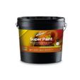 SUPER PAINT