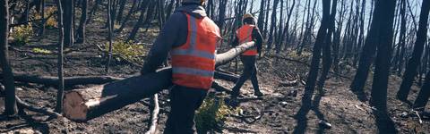 Marmoline Ανάδοχος Αποκατάστασης